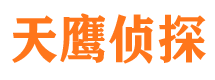 丰满侦探公司